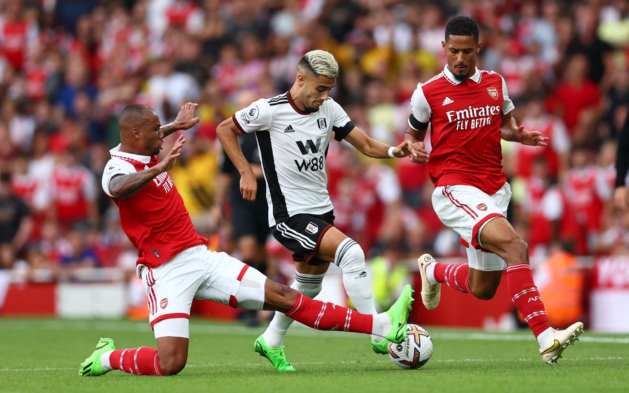 这一现象为 这一现象为