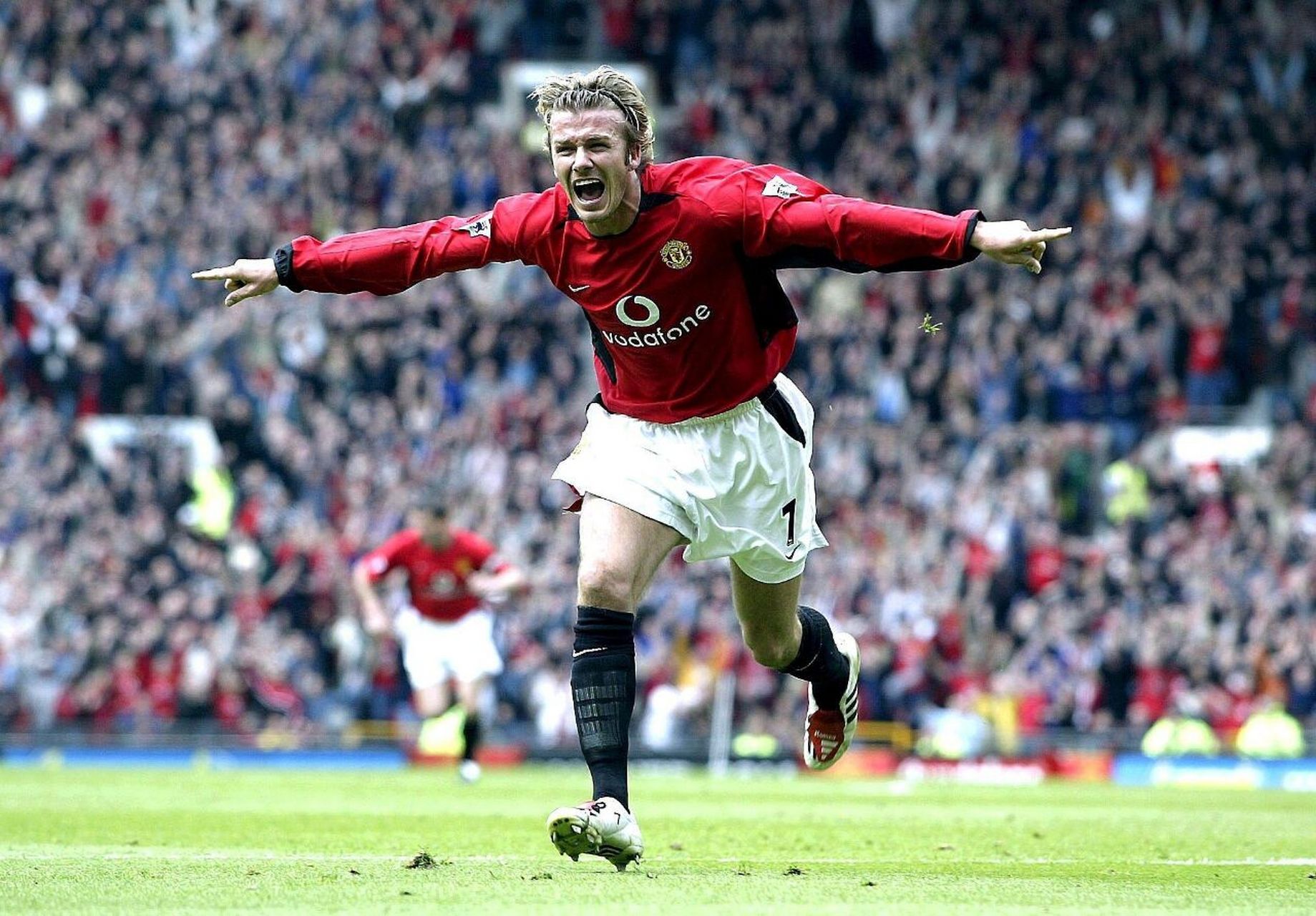 还能在阵地 还能在阵地