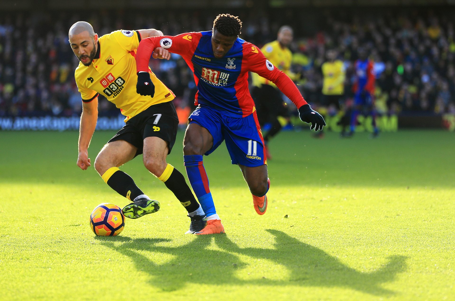 或许正是牛 或许正是牛