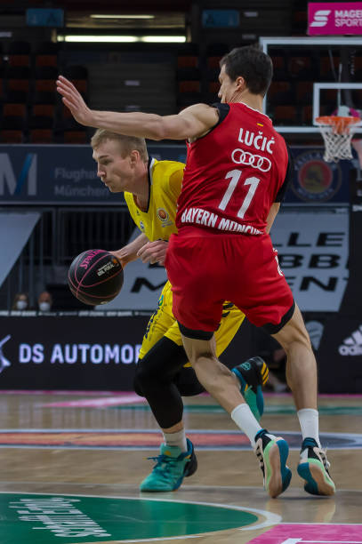 球迷的呐喊 球迷的呐喊